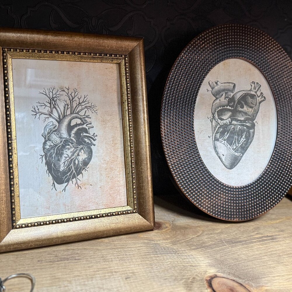 Anatomical Hearts Art in Copper/Bronze Vintage Frames (set of 2)